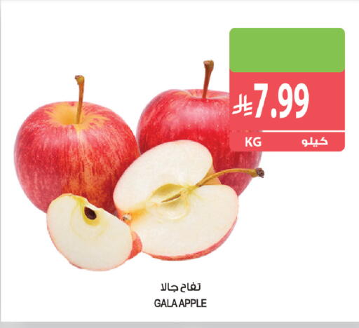 Apple available at المزرعة in مملكة العربية السعودية, السعودية, سعودية - جازان