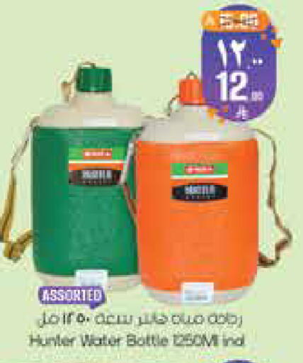 available at City Flower in KSA, Saudi Arabia, Saudi - Hail