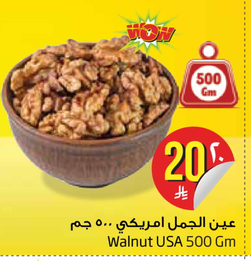 متوفر لدى ليان هايبر في مملكة العربية السعودية, السعودية, سعودية - الخبر‎