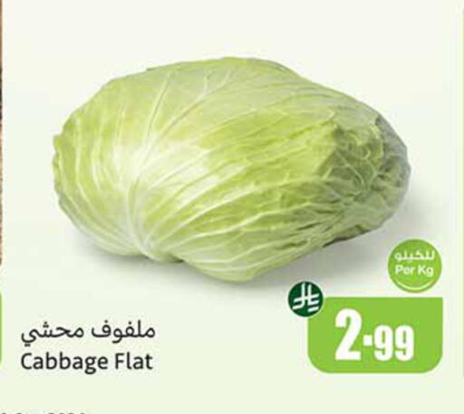 Cabbage available at أسواق عبد الله العثيم in مملكة العربية السعودية, السعودية, سعودية - مكة المكرمة