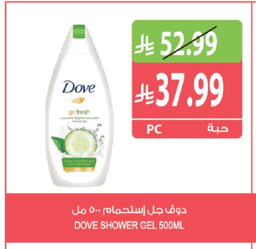 Cucumber available at المزرعة in مملكة العربية السعودية, السعودية, سعودية - القطيف‎