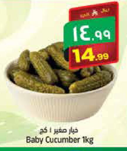 Cucumber متوفر لدى ستي فلاور في مملكة العربية السعودية, السعودية, سعودية - سكاكا
