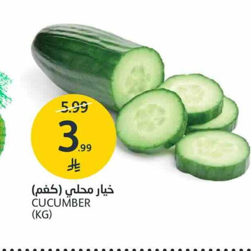 Cucumber متوفر لدى أسواق الجزيرة في مملكة العربية السعودية, السعودية, سعودية - الرياض