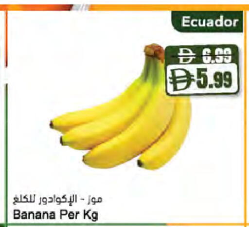 Banana من Ecuador متوفر لدى المايا سوبرماركت في الإمارات العربية المتحدة , الامارات - دبي