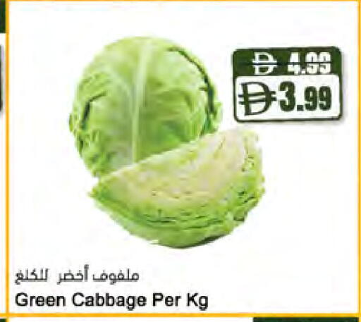 Cabbage متوفر لدى المايا سوبرماركت في الإمارات العربية المتحدة , الامارات - دبي