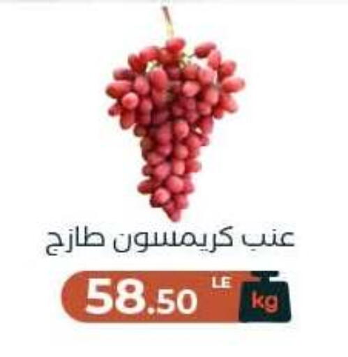 available at Arafa Market in Egypt - Cairo