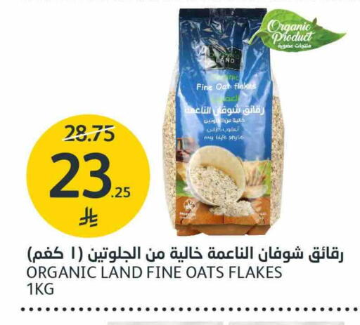 متوفر لدى أسواق الجزيرة في مملكة العربية السعودية, السعودية, سعودية - الرياض