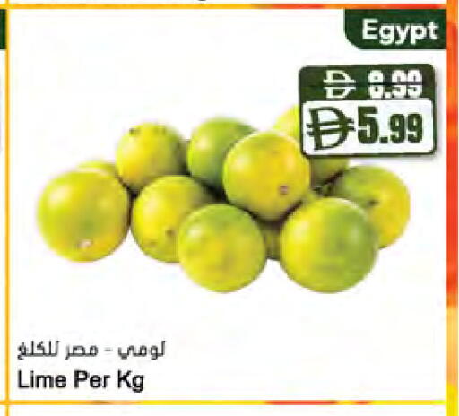 من Egypt متوفر لدى المايا سوبرماركت في الإمارات العربية المتحدة , الامارات - دبي
