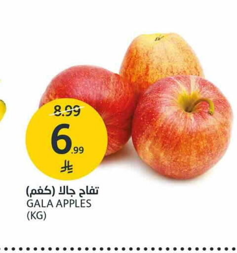 متوفر لدى أسواق الجزيرة في مملكة العربية السعودية, السعودية, سعودية - الرياض