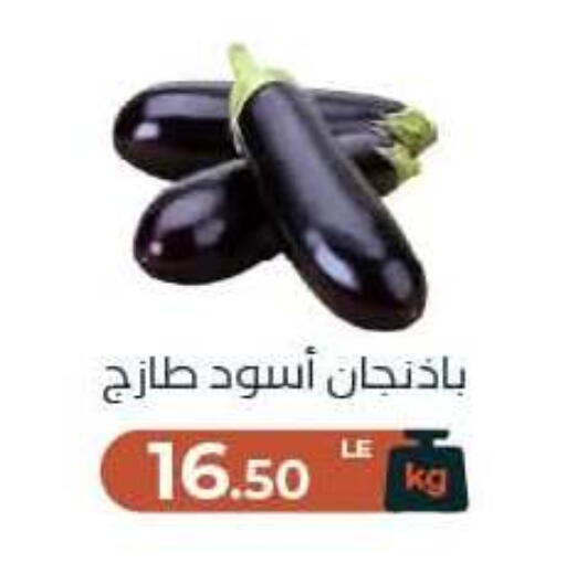 available at Arafa Market in Egypt - Cairo