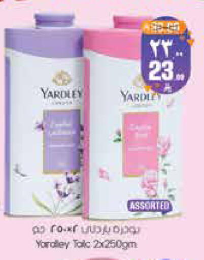 available at City Flower in KSA, Saudi Arabia, Saudi - Sakaka