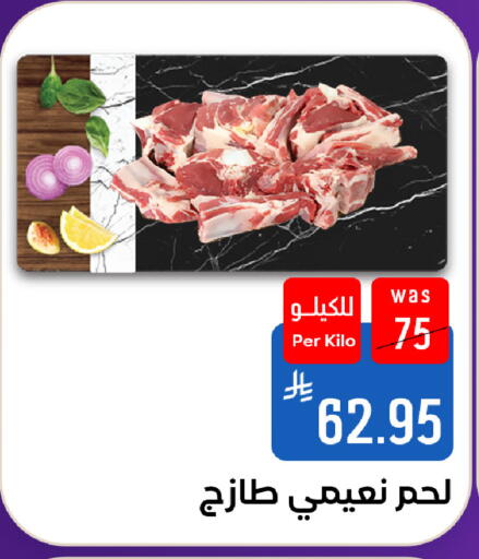 available at شبرا الطائف in مملكة العربية السعودية, السعودية, سعودية - مكة المكرمة