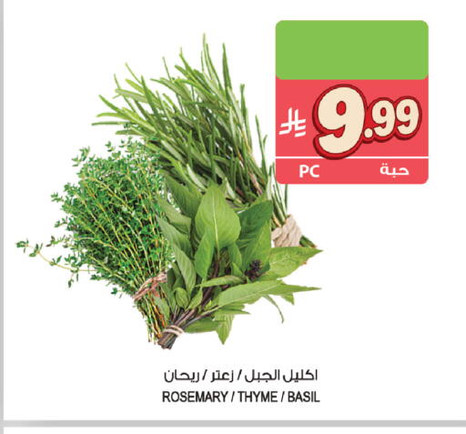 Rosemary Thyme Basil available at المزرعة in مملكة العربية السعودية, السعودية, سعودية - القطيف‎