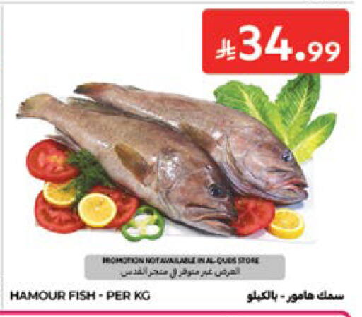 available at كارفور in مملكة العربية السعودية, السعودية, سعودية - جدة