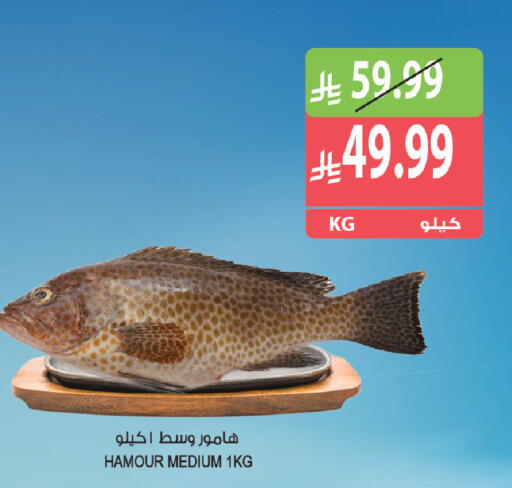 available at المزرعة in مملكة العربية السعودية, السعودية, سعودية - القطيف‎