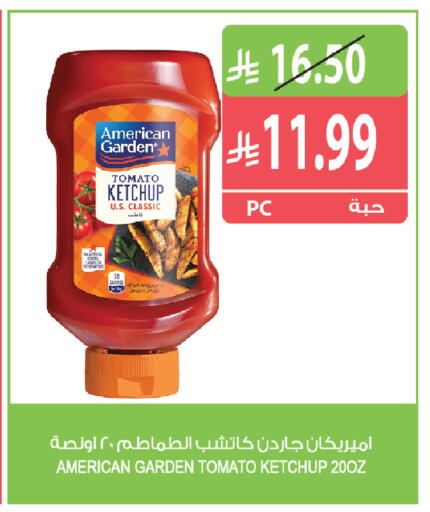 Tomato متوفر لدى المزرعة في مملكة العربية السعودية, السعودية, سعودية - سكاكا