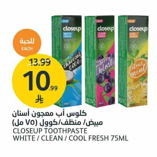 Mint متوفر لدى أسواق الجزيرة في مملكة العربية السعودية, السعودية, سعودية - الرياض