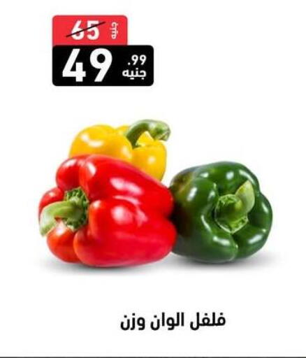available at A Ten Market  in Egypt - Cairo