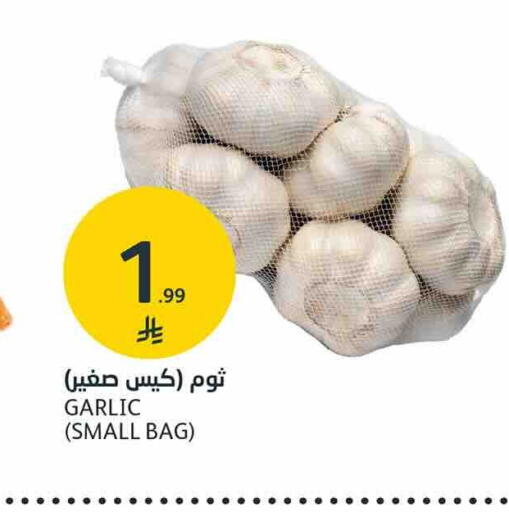 Garlic متوفر لدى أسواق الجزيرة في مملكة العربية السعودية, السعودية, سعودية - الرياض