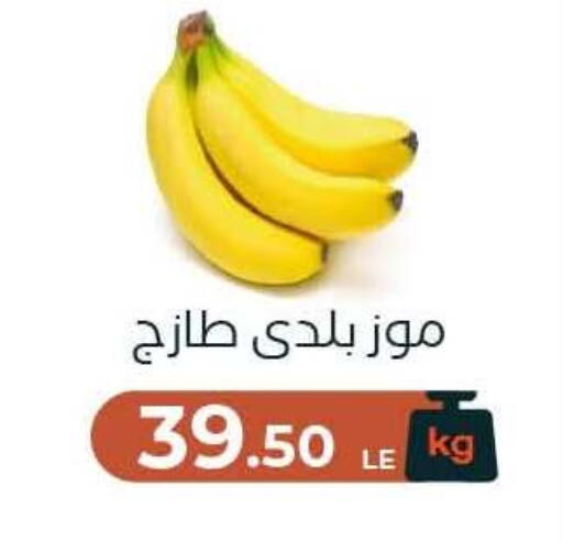 available at Arafa Market in Egypt - Cairo