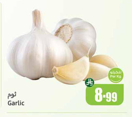 Garlic available at أسواق عبد الله العثيم in مملكة العربية السعودية, السعودية, سعودية - مكة المكرمة
