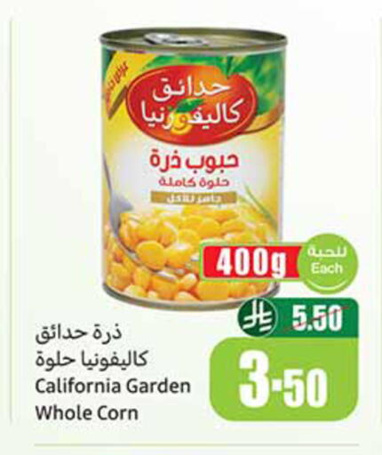 available at أسواق عبد الله العثيم in مملكة العربية السعودية, السعودية, سعودية - مكة المكرمة