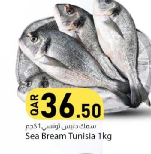 available at Dana Market in Qatar - Al Daayen