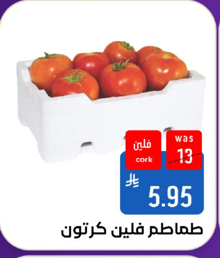 available at شبرا الطائف in مملكة العربية السعودية, السعودية, سعودية - مكة المكرمة