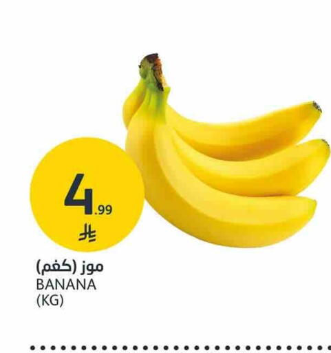 Banana available at AlJazera Shopping Center in KSA, Saudi Arabia, Saudi - Riyadh