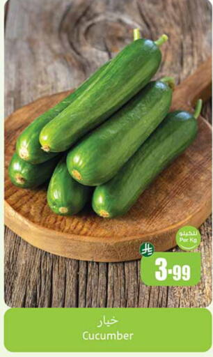 Cucumber available at أسواق عبد الله العثيم in مملكة العربية السعودية, السعودية, سعودية - مكة المكرمة