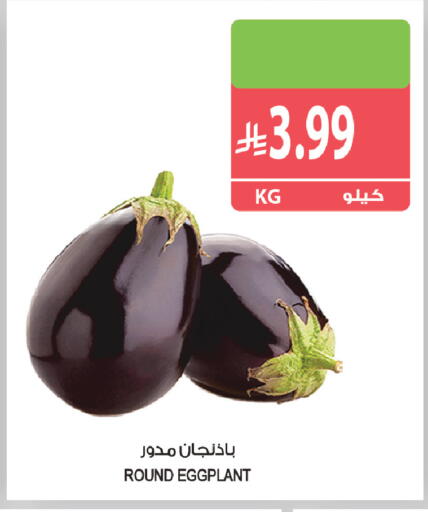 Eggplant available at المزرعة in مملكة العربية السعودية, السعودية, سعودية - جازان