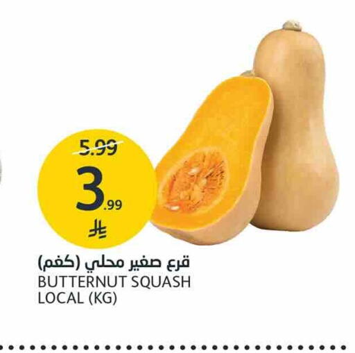 Squash متوفر لدى أسواق الجزيرة في مملكة العربية السعودية, السعودية, سعودية - الرياض