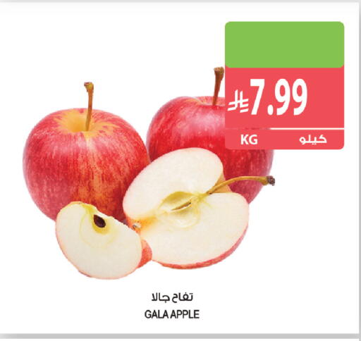 Apple available at المزرعة in مملكة العربية السعودية, السعودية, سعودية - القطيف‎