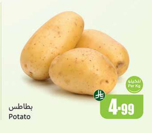 Potato available at أسواق عبد الله العثيم in مملكة العربية السعودية, السعودية, سعودية - مكة المكرمة