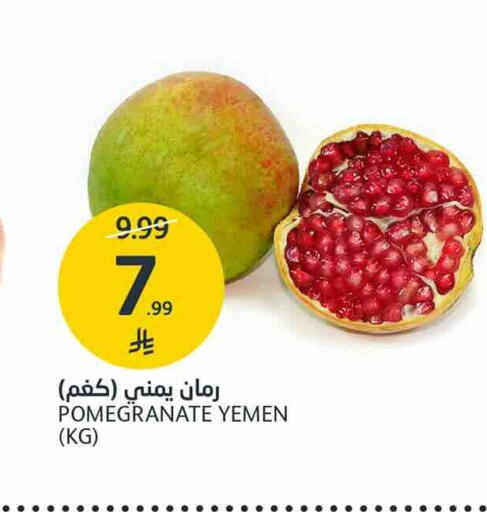 Pomegranate من Yemen متوفر لدى أسواق الجزيرة في مملكة العربية السعودية, السعودية, سعودية - الرياض