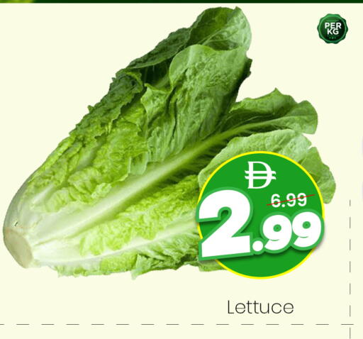 Lettuce available at مارك & سيف in الإمارات العربية المتحدة , الامارات - دبي