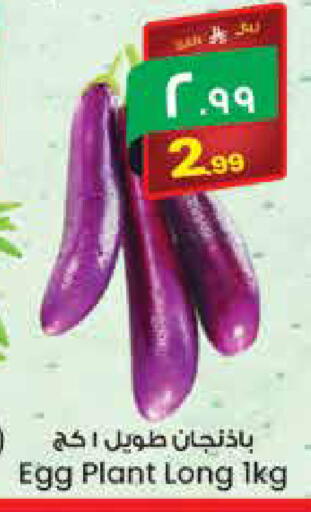 available at City Flower in KSA, Saudi Arabia, Saudi - Hail