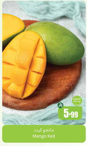 Mango available at أسواق عبد الله العثيم in مملكة العربية السعودية, السعودية, سعودية - مكة المكرمة