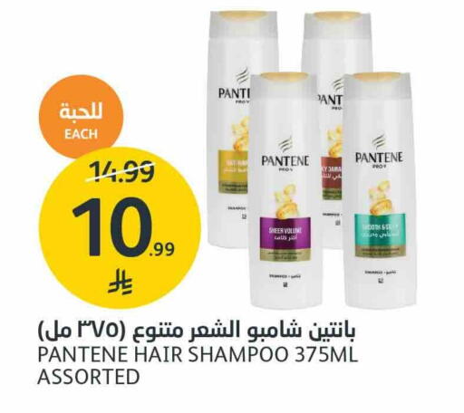 متوفر لدى أسواق الجزيرة في مملكة العربية السعودية, السعودية, سعودية - الرياض