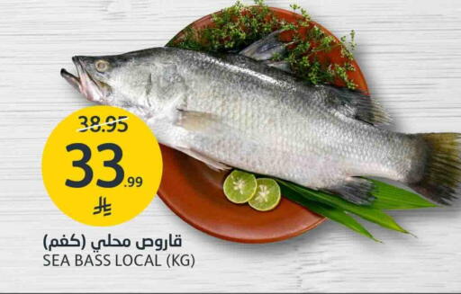 متوفر لدى أسواق الجزيرة في مملكة العربية السعودية, السعودية, سعودية - الرياض