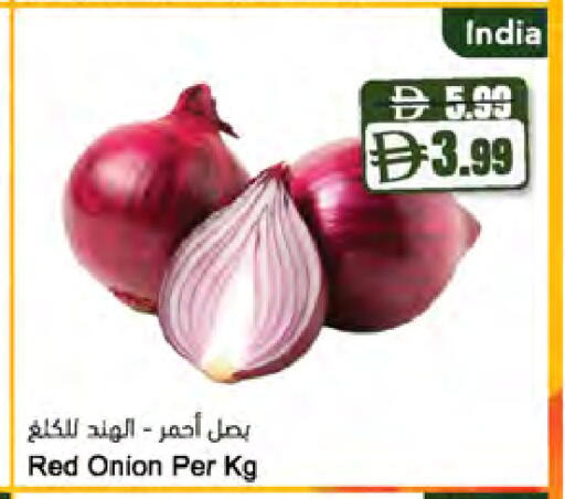 Onion from India available at Almaya Supermarkets in UAE - Dubai