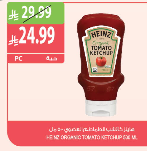 Tomato available at Farm  in KSA, Saudi Arabia, Saudi - Tabuk