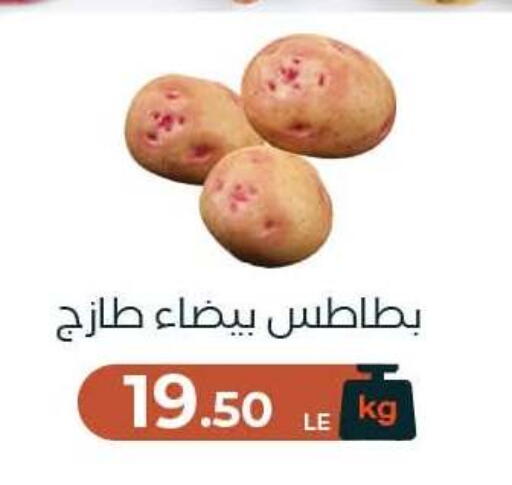 available at Arafa Market in Egypt - Cairo