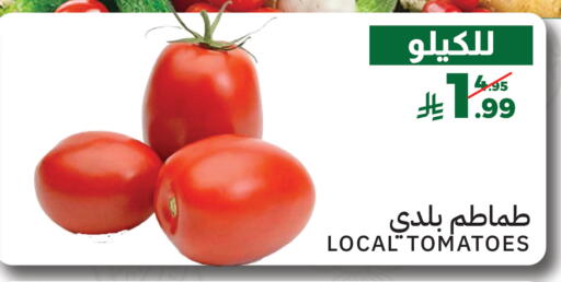 Tomato available at ميرا مارت مول in مملكة العربية السعودية, السعودية, سعودية - جدة