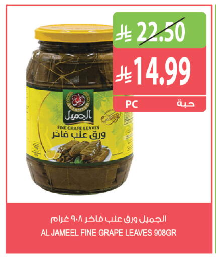 available at المزرعة in مملكة العربية السعودية, السعودية, سعودية - القطيف‎