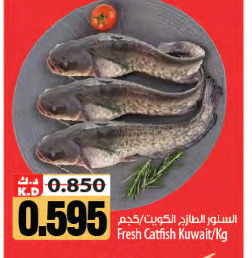 Mango available at Mango Hypermarket  in Kuwait - Kuwait City