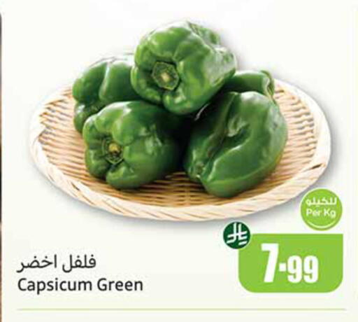 Capsicum available at أسواق عبد الله العثيم in مملكة العربية السعودية, السعودية, سعودية - مكة المكرمة