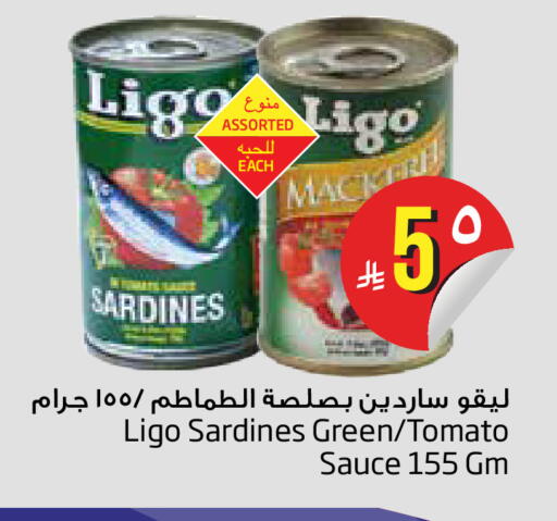 Tomato available at Layan Hyper in KSA, Saudi Arabia, Saudi - Al Khobar