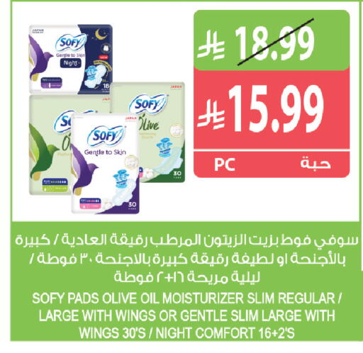 available at المزرعة in مملكة العربية السعودية, السعودية, سعودية - جازان