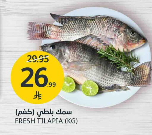 متوفر لدى أسواق الجزيرة في مملكة العربية السعودية, السعودية, سعودية - الرياض